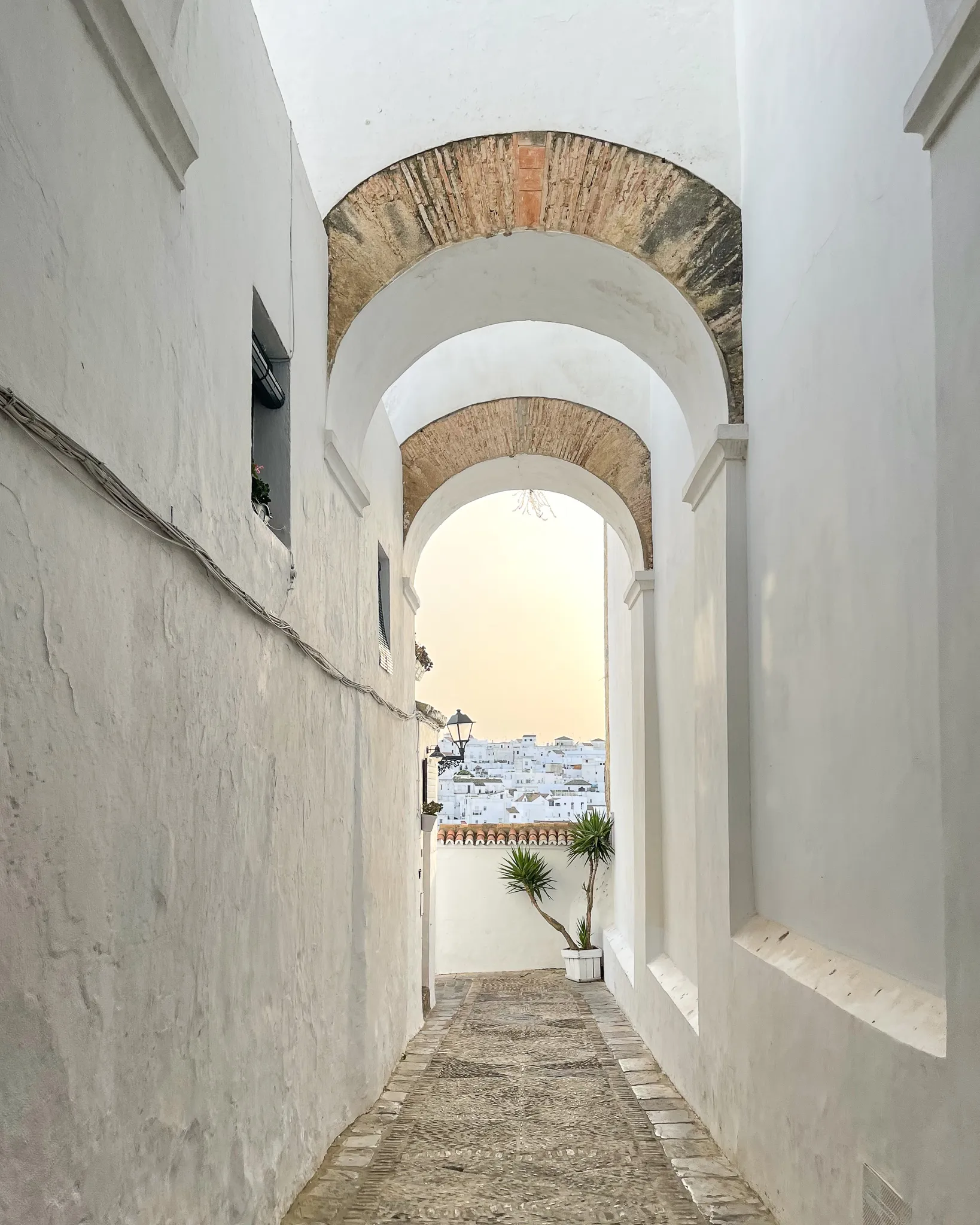 Arco interior - Hospedería Manzanilla